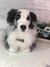 Border Collie de amigurumi - Guri Gurumis - Amigurumis e Tricotin