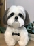 Shih-tzu de amigurumi