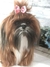 Imagem do Shih-tzu de amigurumi