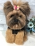 Yorkshire de amigurumi - comprar online