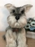 Schnauzer de amigurumi - comprar online