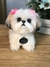 PET MINIATURA - comprar online