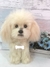 Poodle de amigurumi na internet