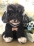 Poodle de amigurumi - Guri Gurumis - Amigurumis e Tricotin
