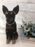 Pinscher de amigurumi - Guri Gurumis - Amigurumis e Tricotin
