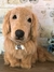 Golden Retriever de amigurumi - Guri Gurumis - Amigurumis e Tricotin