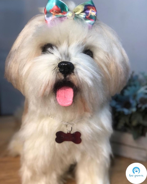 Lhasa Apso de amigurumi - buy online