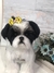 Shih-tzu de amigurumi - loja online