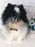 Imagem do Spitz Alemão de amigurumi