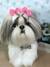 Shih-tzu de amigurumi - comprar online