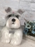 Schnauzer de amigurumi - comprar online