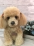 Poodle de amigurumi - Guri Gurumis - Amigurumis e Tricotin