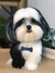 Shih-tzu de amigurumi - comprar online