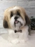 Lhasa Apso de amigurumi - comprar online
