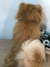 Chow Chow de amigurumi na internet