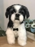 Shih-tzu de amigurumi - loja online