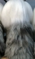 Old English Sheepdog de amigurumi - comprar online
