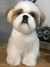 Shih-tzu de amigurumi - comprar online