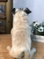 Pug de amigurumi na internet