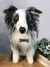 Border Collie de amigurumi - comprar online