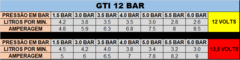 Bomba De Combustível Gti 12 Bar Entrada E Saída Rosca (8an) - comprar online