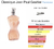 Tubete Inspiração Jean Paul Classique 30 ml Brand Collection - comprar online