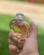 Inspiração Olympéa Solar 25 ml Brand Collection