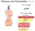 Flaconete Original Jean Paul Classique 1,5 ml - comprar online