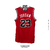 CAMISETA NBA RETRO EDITION CHICAGO BULLS - MICHAEL JORDAN 84/85 - comprar online