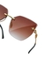 Óculos de Sol Elegance • X•16005 • BALGRIFF • FEMININO • FINO - Tassia Nunes Atacado