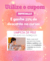 Carrossel 4