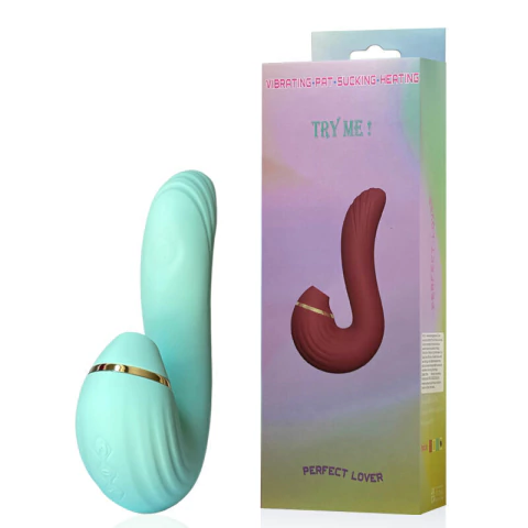 VR-021 Vibrador Recarregável Ponto G com 4 Modos de Pulsação e Função de Aquecimento –