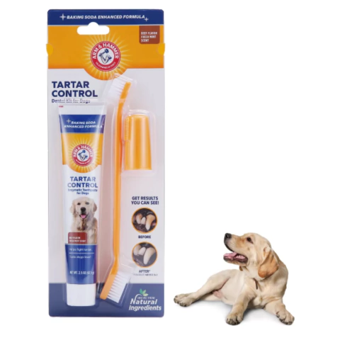 Kit Arm & Hammer Tartar Control Pasta de Dentes Enzimática + Escova de Dentes Dupla