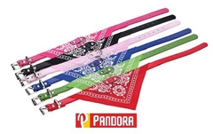 COLLAR CON BANDERITA GRANDE (00834)