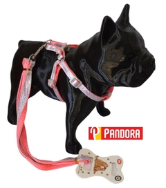 PRETAL TORNASOLADO CHICO (02888)