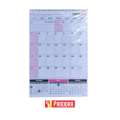 CALENDARIO 2025 C/ ESP COD:147224 A3 MILENIUM (147224)