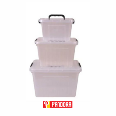 CAJA ORGANIZADORA TRANSPARENTE CHICA (656750783733)