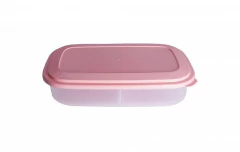 HERMETICO 2 DIVICIONES (03445) - comprar online