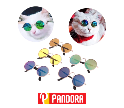 ANTEOJOS DE SOL (15178)