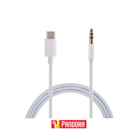 CABLE ADAPTADOR TIPO C A AUXILIAR (6969202107044)