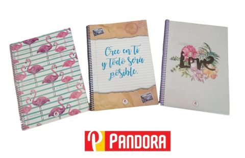 CUADERNILLO A4 RAYADO X 45 HS NANU (04979)