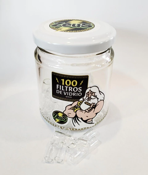 FILTRO DE VIDRIO 6MM ZEUS (00105)
