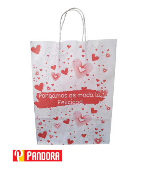 BOLSA DE CARTON ESTAMPADA 18X20 (02670)