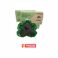 CARBONES DE ENCENDIDO RAPIDO X24 (109488)