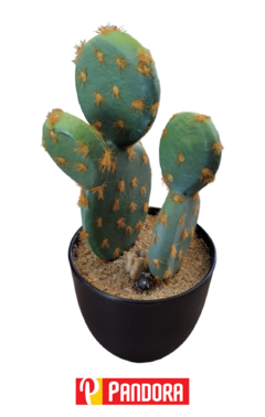 MACETA CACTUS DECORATIVA 170210 (170210)