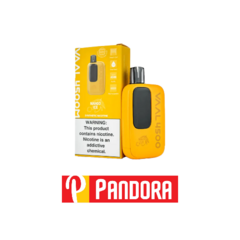 VAPER VAAL 4500M MANGO ICE (6971883405401)