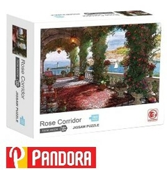 ROMPECABEZAS FUNNY LAND -ROSE CORRIDOR 1000P FT436 (092626514115)
