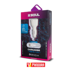 CARGADOR PARA AUTO 20W CON CABLE FICHA IPHONE (7798383570359)