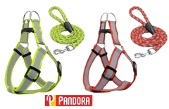 CORREA CON PRETAL REFLEX (01067)