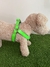 PRETAL VERDE NEON M